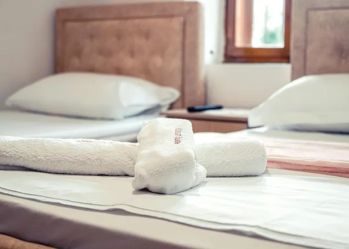 Arber 3* Gjirokastër